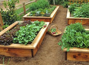 Чем обработать доски для грядок